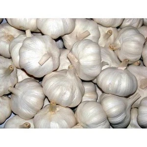 Fresh garlic/Fresh normal white garlic/Pure white garlic