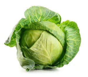 Fresh Green/White Cabbage