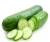 Import Fresh South Africa cucumber from USA