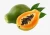 Import Fresh style export grade papaya from South Africa