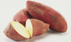 Fresh Sweet Potato (Best Quality and Best Prices)
