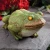 Import Frog Motion Sensor Statue - Weather Resistant, Hand-Painted Polyresin Sculpture - Garden Decoration from China