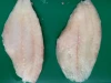 Frozen Barramundi Fillet Fish