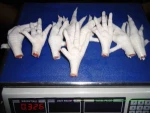 Frozen Chicken Feet and Paws from Brazil