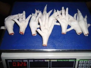 Frozen Chicken Feet and Paws from Brazil