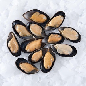 Frozen Seafood Mussel Half Shell Mussel