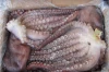 frozen seafood octopus IQF Octopus Of Various Sizes