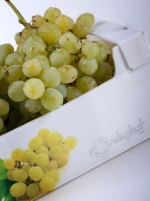 fruit plastic box for vegetables and fruits