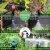 Import garden greenhouses drip irrigation sprinklers garden water timers slow release spray irrigation system from China