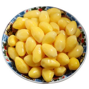 Ginkgo Nuts for export