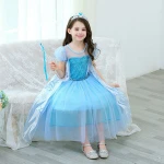 Girls Birthday Party Princess Dress Anime Elsa Anna Cosplay Costumes