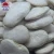 Import Good prices dried price of white butter beans/price for butter beans from China