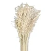 Good Quality  Natural Flower Wholesale Dried Job Grass for Home Wedding Decoration for Dried Flower Arrangement