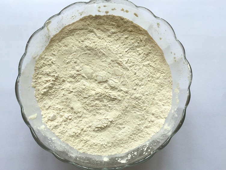 Good quality Protein powder as plant fertilizer