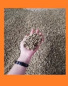 Green Coffee Beans Natural Flavor Origin Vietnam Wet Polished