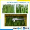 green fresh Asparagus Prices,frozen Asparagus Prices for sale