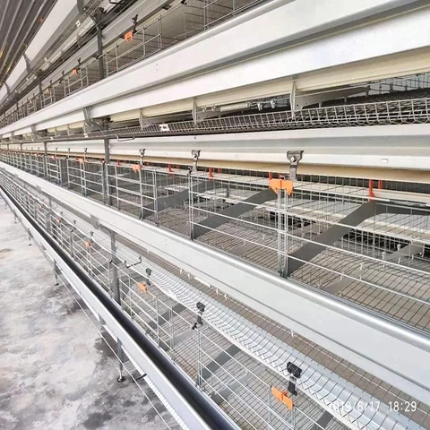 H style poultry layer farming equipment chicken farm coop fully auto hens raising cage line system