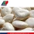Import HALAL/ HACCP/ KOSHER White Kidney Bean In 180-200 from China