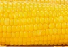 Healthy Non-GMO Sweet Yellow Corn as Snacks