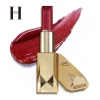 HENLICS Long Lasting Moisturizing Lip Stick Private Label custom Matte  Lipstick