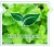 Import HIBIS Cooling Fresh 3D Ultra Thin Herbal Best Sanitary Napkins 24cm from Taiwan
