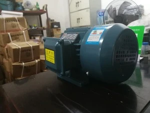 High efficiency flameproof three phase asynchronous electric motor