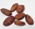 Import High Grade Cacao Beans ,Dried Criollo Cocoa Beans ,Organic Roasted Cacao Beans from Canada