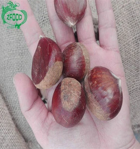 High Quality Fresh New Crop Chestnut