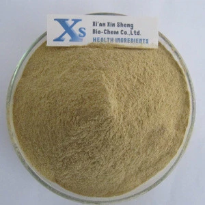 High Quality GMP Natural Instant Green Tea Powder/Instant Green tea Extract