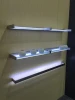 High quality LED Illuminated Glass cabinet Shelf Light for Kitchen and Display