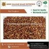 High Quality Machine Cleaned Red Sorghum Available at Attractive Price