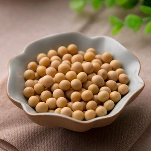 High quality soya bean for oil , soybean , Soybean Seeds for sale.