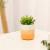 Import hot sale wholesale matt home decoration plant stand mini ceramic succulent pot from Pakistan
