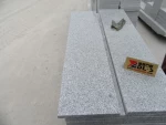 Hot Sell Cheap Grey White Exterior G603 Granite Steps Stairs