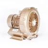 Hot Selling 0.7kw Air Compressors Manufacturer Low Noise Energy-saving Side Channel Blower