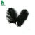 Import Hot selling wholesale natural washed white ostrich feather for diy, wedding party christmas tree decoration 15-20cm from China