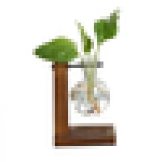 Hot Terrarium Hydroponic Plant Vases Vintage Flower Pot Transparent Vase Wooden Frame Glass Tabletop Plants Home Bonsai Decor