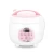 Import Hotor good sell Mini Digital Rice Cooker Lunch Box Steamer Microwave Kitchen Appliance Smart Rice Cookers from China