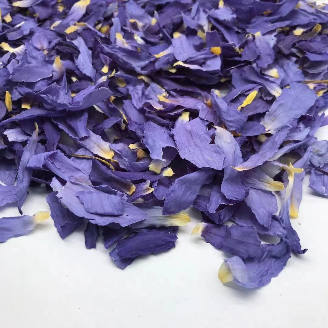 HOVP4009 Lan Lian Hua Natural Herbal Blue Lotus petals Dried Vacumn Blue Lotus Tea