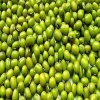 Indian Best Product Green Millet