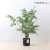 Import Indoor Decor Green Plant Cheap Artificial Fern Tree from China