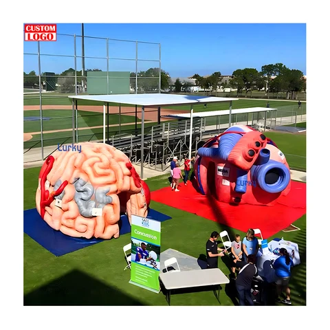 Large Inlfatable Medical Models Buy Inflatable Brain Heart Tent Model Human Body Large Organs For ...