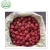 Import IQF Frozen Wild Diced Strawberry Export from China