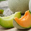 Japanese Fresh Sweet Types Cantaloupe By Veteran Producers