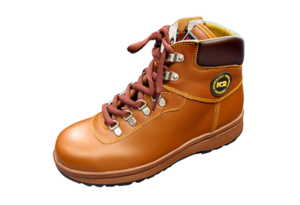 K2-14 Safety Shoes