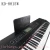 Import KD-8815W Kerid standard keyboard best digital electric piano from China