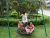 Import Kids Detachable Foldable Nest Patio Outdoor Bird Nest Swing Chairs from China