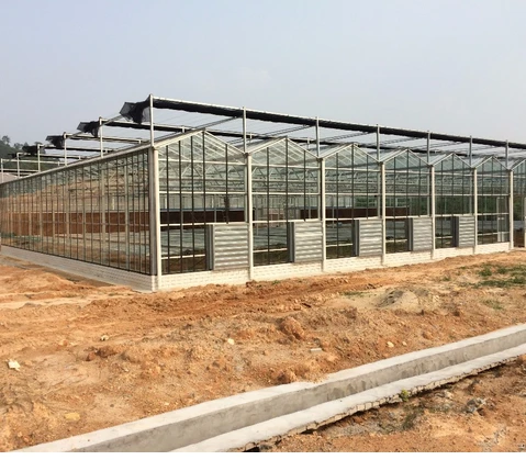 KUNZHENG industrial Agricultural Greenhouses glasshouse