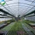 Import Low cost prefabricated greenhouse plastic film green house from China
