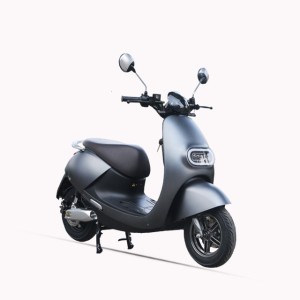 malaysia price handicapped citycoco eec drifting scuter electric scooter